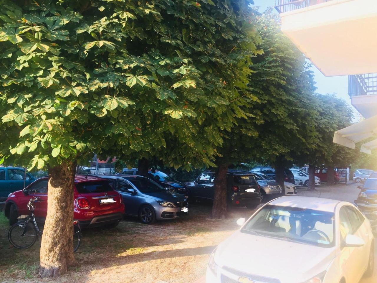 רימיני Hotel Argo מראה חיצוני תמונה